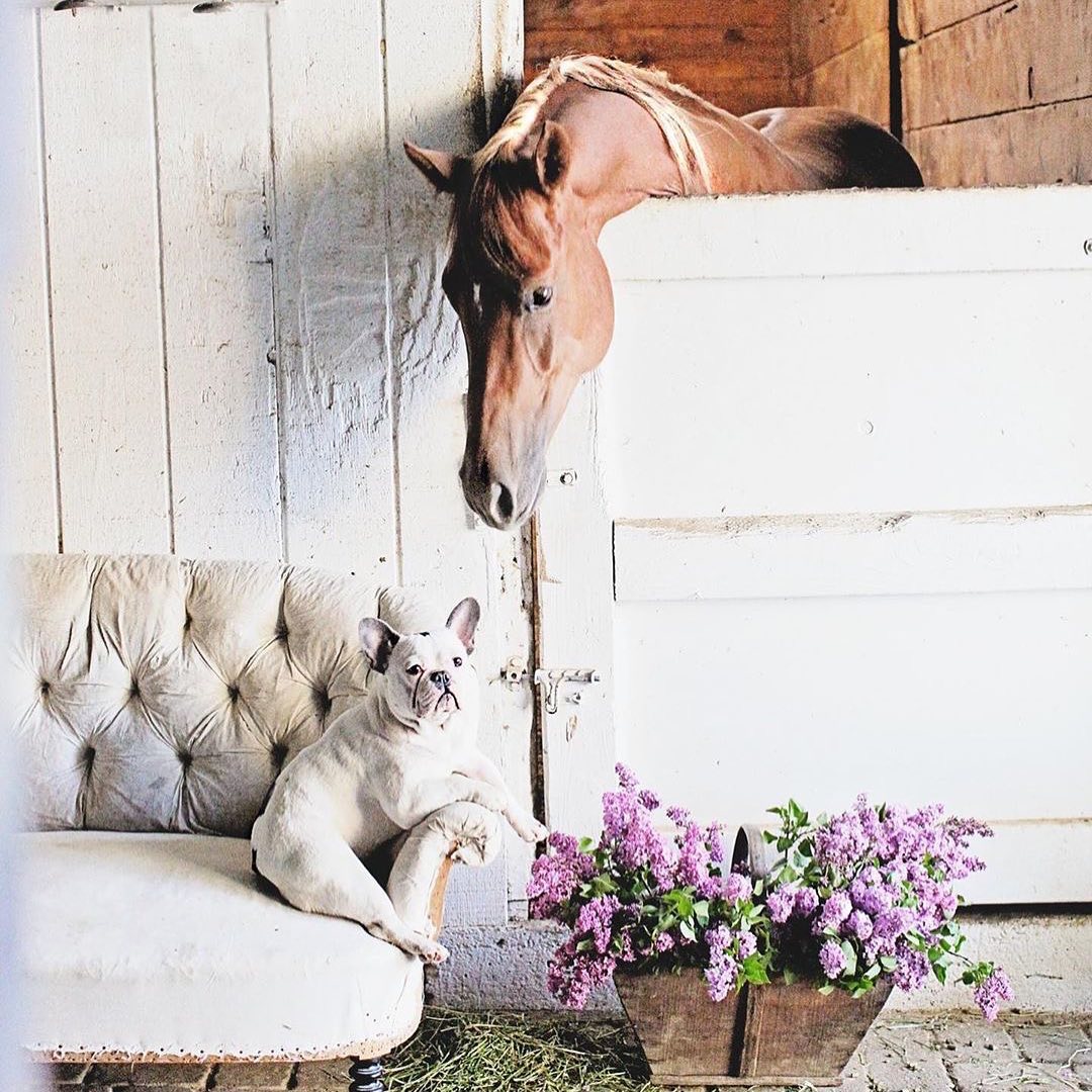 Kym Rupp Kimberly Rupp - Homes and Farms in Virginia - Corcoran McEnearney
